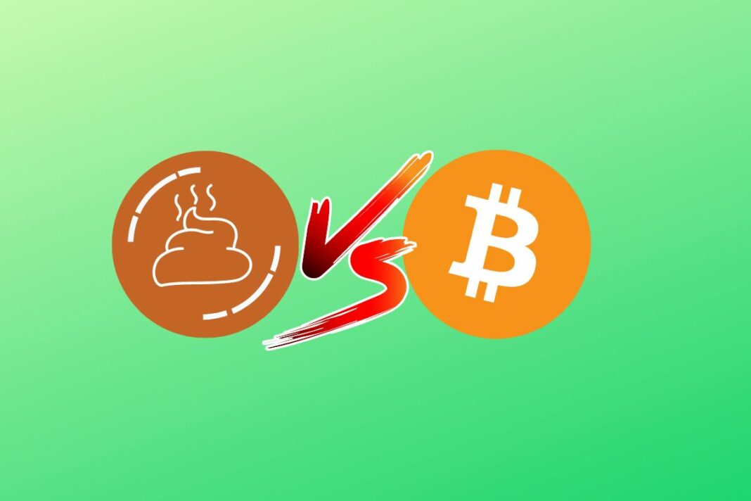 Shitcoins vs Bitcoin pourquoi les cryptomonnaies établies sont plus sûres à investir - canva